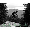 MTB Downhill