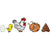 Evolution of Chicken