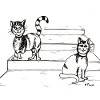 Cat Friends