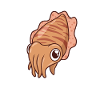 Kawaii Cuttlefish