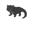 Kawaii Binturong