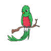 Kawaii Quetzal