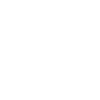 Budgerigar Coeur Budgie Budgerigar