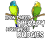 Budgerigar Thérapie Budgerigar