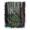 Sunlit Forest with Shadowed Glade