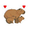 Capybara Wasserschwein