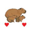 Capybara Wasserschwein