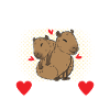Capybara Wasserschwein