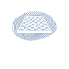 Chess Chessboard DNA Fingerprint