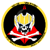 Skull squadron