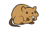 Life Is Better With Muskrats