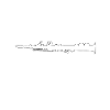 Klarinette
