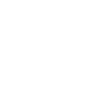 Geige Violine