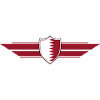Qatar Fan World Championship