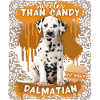 Dalmatian, dog, funny saying