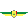 Senegal Fan World Cup