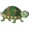 tortue