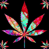 Feuille