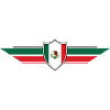Mexico Fan World Cup