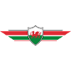 Wales Fan World Cup
