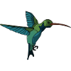 colibri