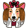 Collie Dog Gift Japanese