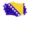 Bosnia and Herzegovina Flag