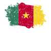 Cameroun Drapeau Grunge Cameroun Drapeau