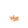 Corgi
