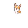 Corgi
