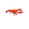 Crawfish Crawfish Seafood Crab Gift
