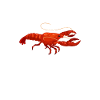 Crayfish