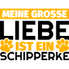 Schipperke Geschenke lustig