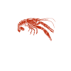 Crawfish Crawfish Seafood Crab Gift