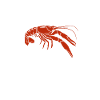 Crayfish