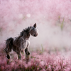 Bébé Cheval Rose Gris Saut