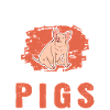 Cadeau cochon Fermier Cochons