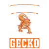 Gecko Geschenk Leopardgecko