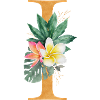 Customizable Monogram I Tropical Botany