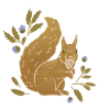 Wild animals - Squirrels