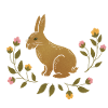 Wild animals - Hare