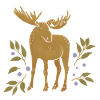Wild animals - Moose