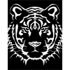 #1Tiger Collection