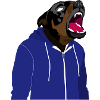 Rottweiler in sweatshirt