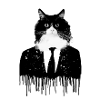 tuxedo, cat,suit,graffiti,tuxedokatze