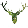 Schwarzwald Hirsch - Wald