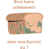 brot kann schimmeln