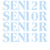 Senior 2023