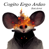 rat copie