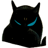 Black cat with blue eyes
